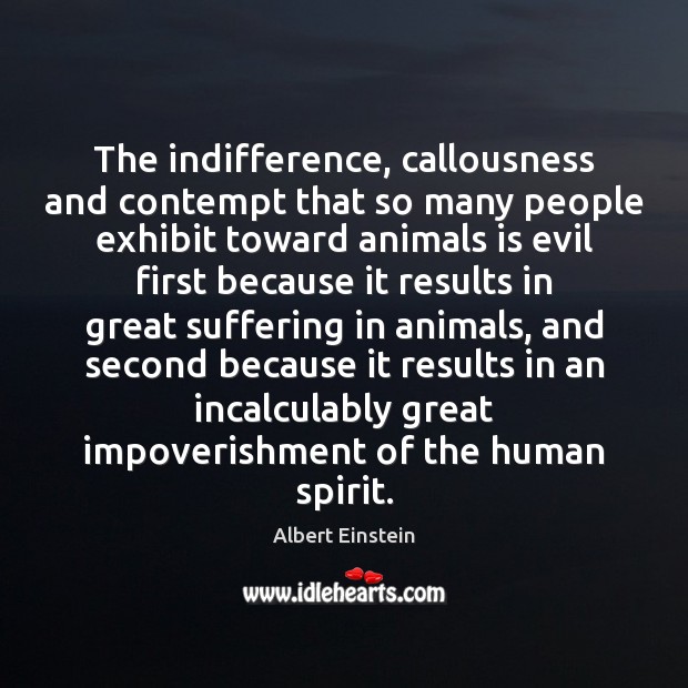 The indifference, callousness and contempt that so many people exhibit toward animals Image