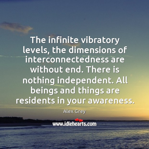 The infinite vibratory levels, the dimensions of interconnectedness are without end. Alex Grey Picture Quote