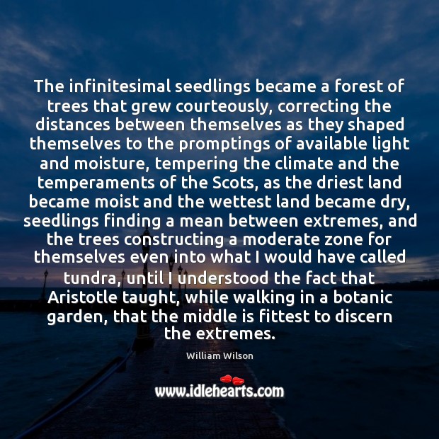 The infinitesimal seedlings became a forest of trees that grew courteously, correcting William Wilson Picture Quote