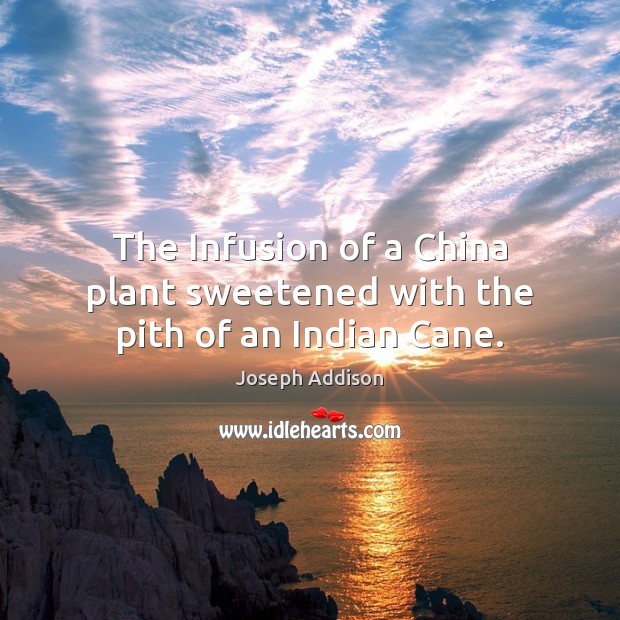 The Infusion of a China plant sweetened with the pith of an Indian Cane. Joseph Addison Picture Quote