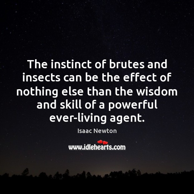 The instinct of brutes and insects can be the effect of nothing Isaac Newton Picture Quote
