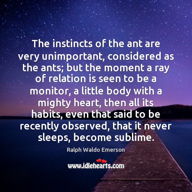 The instincts of the ant are very unimportant, considered as the ants; Image