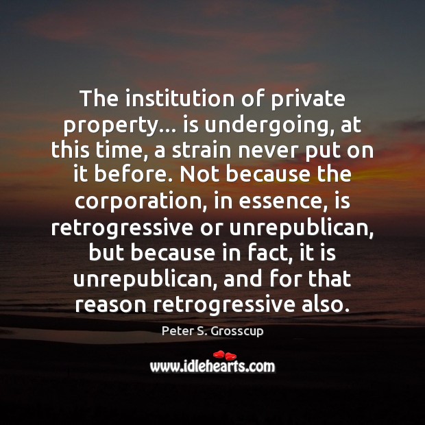 The institution of private property… is undergoing, at this time, a strain Peter S. Grosscup Picture Quote