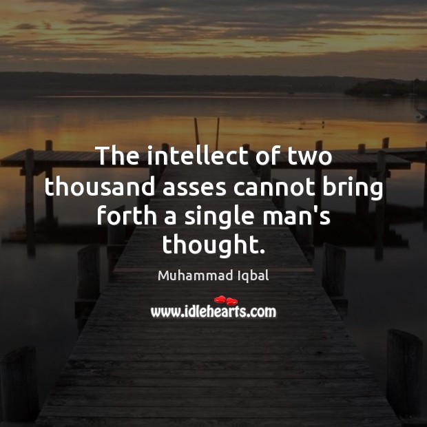 The intellect of two thousand asses cannot bring forth a single man’s thought. Image