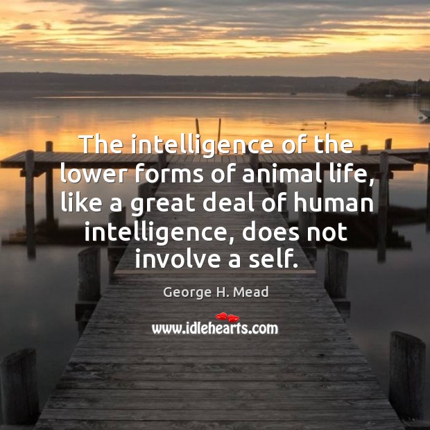 The intelligence of the lower forms of animal life, like a great deal of human intelligence, does not involve a self. George H. Mead Picture Quote