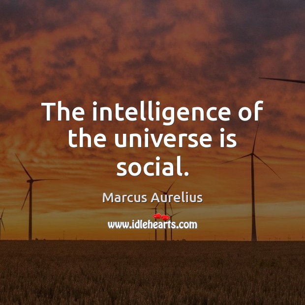 The intelligence of the universe is social. Marcus Aurelius Picture Quote