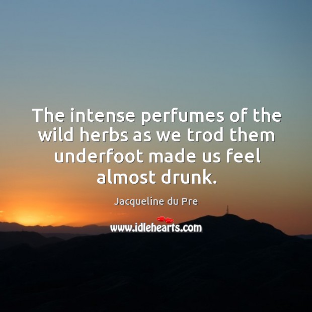 The intense perfumes of the wild herbs as we trod them underfoot made us feel almost drunk. Jacqueline du Pre Picture Quote