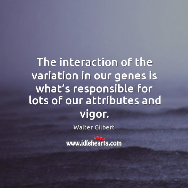 The interaction of the variation in our genes is what’s responsible for lots of our attributes and vigor. Walter Gilbert Picture Quote