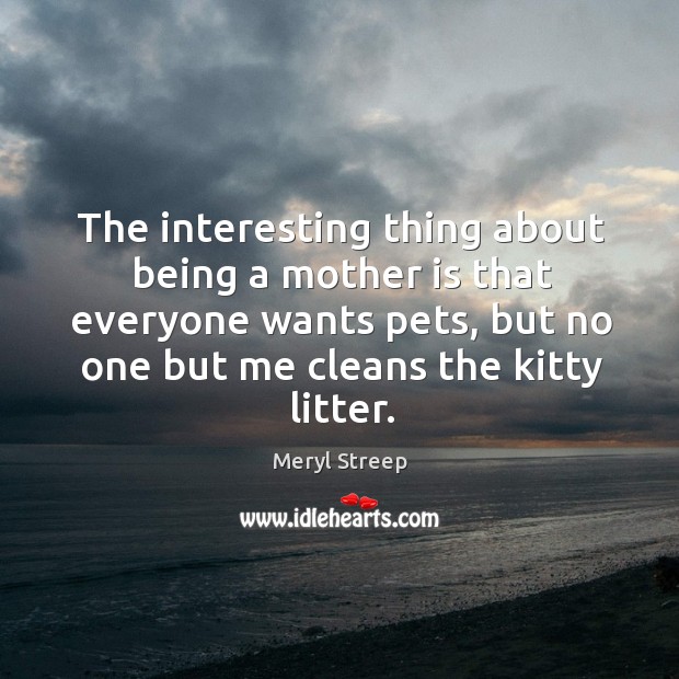 The interesting thing about being a mother is that everyone wants pets, but no one but me cleans the kitty litter. Image
