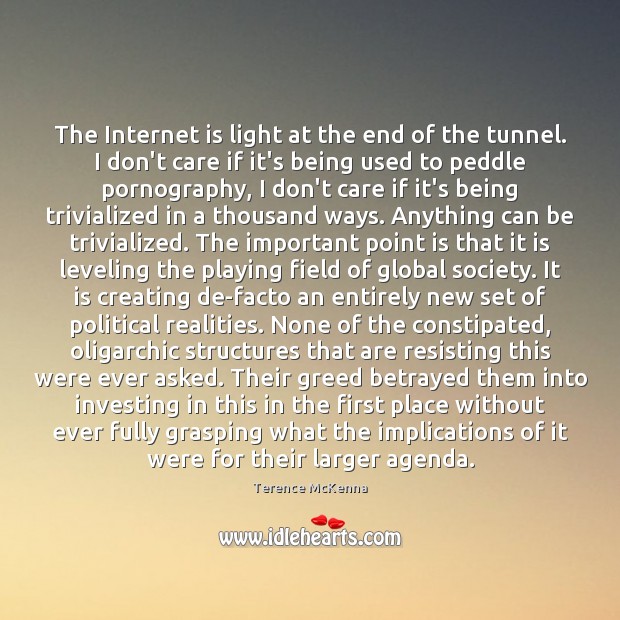 The Internet is light at the end of the tunnel. I don’t Terence McKenna Picture Quote
