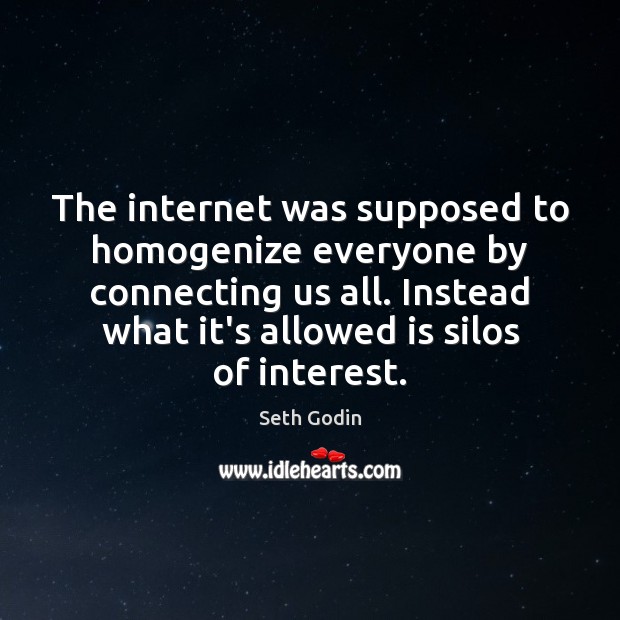The internet was supposed to homogenize everyone by connecting us all. Instead Seth Godin Picture Quote