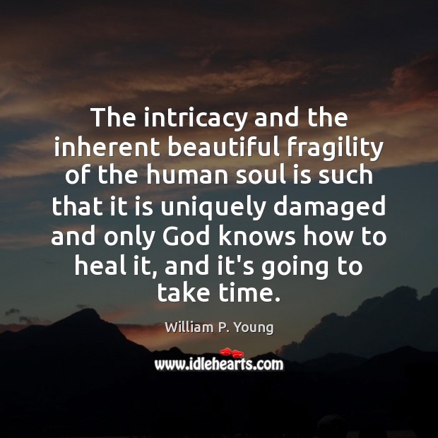 The intricacy and the inherent beautiful fragility of the human soul is William P. Young Picture Quote