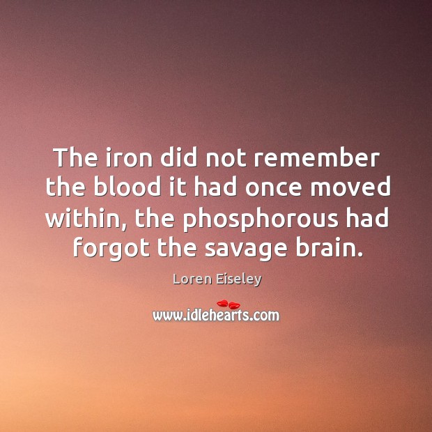 The iron did not remember the blood it had once moved within, Image