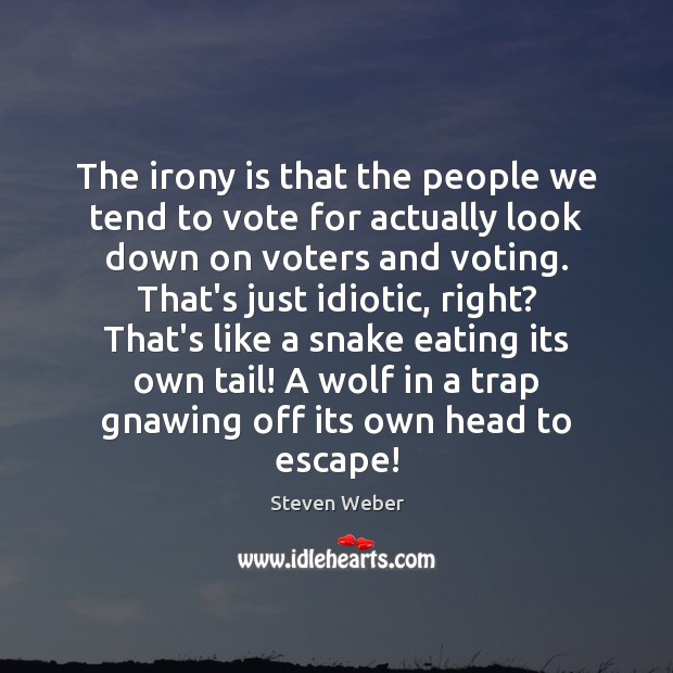 The irony is that the people we tend to vote for actually Vote Quotes Image