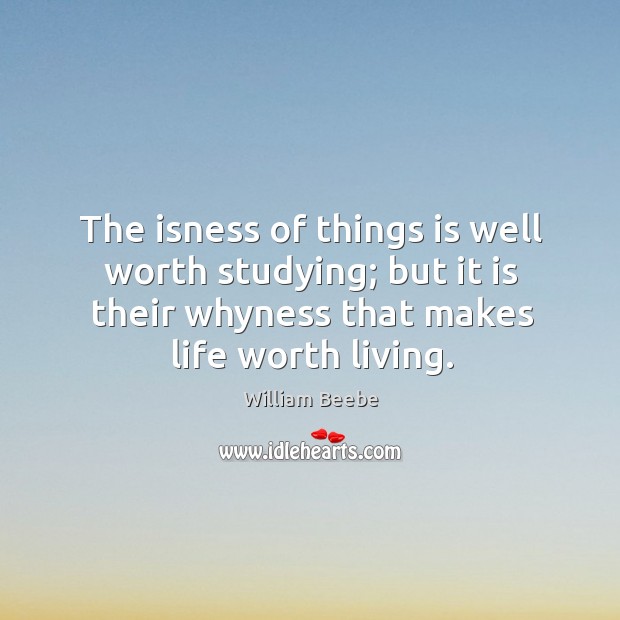 The isness of things is well worth studying; but it is their William Beebe Picture Quote