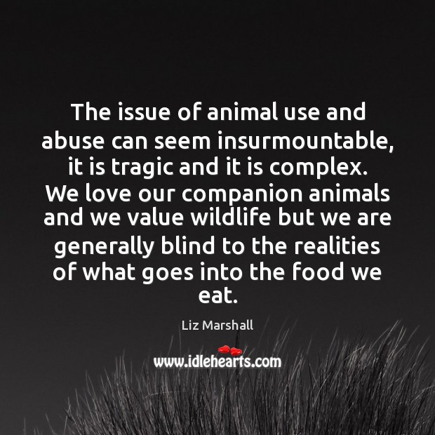 The issue of animal use and abuse can seem insurmountable, it is 
