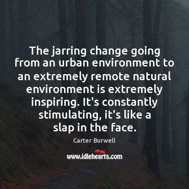 The jarring change going from an urban environment to an extremely remote Carter Burwell Picture Quote