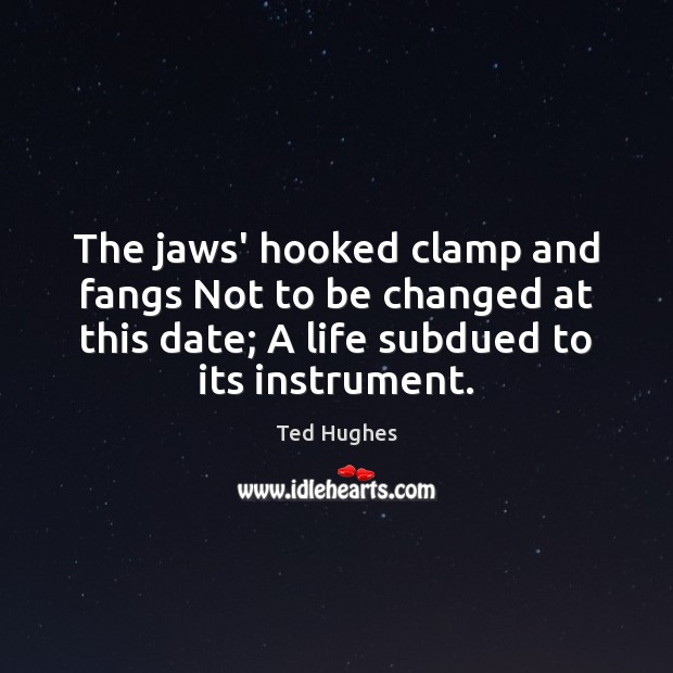 The jaws’ hooked clamp and fangs Not to be changed at this Ted Hughes Picture Quote