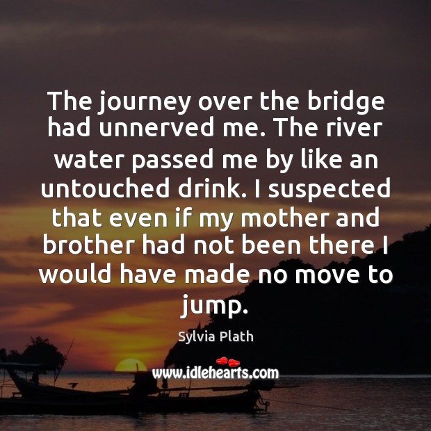 The journey over the bridge had unnerved me. The river water passed Image