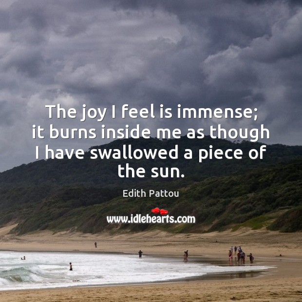 The joy I feel is immense; it burns inside me as though Edith Pattou Picture Quote