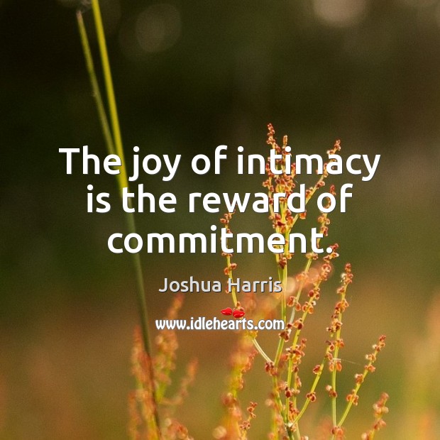 The joy of intimacy is the reward of commitment. Joshua Harris Picture Quote