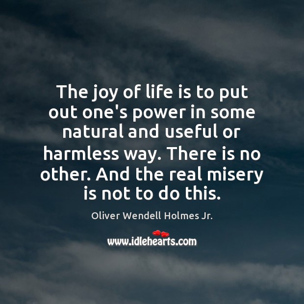 The joy of life is to put out one’s power in some Oliver Wendell Holmes Jr. Picture Quote