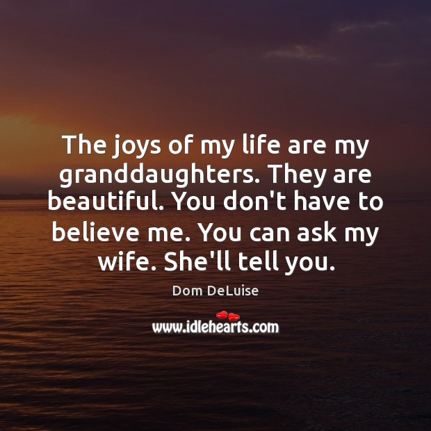 The joys of my life are my granddaughters. They are beautiful. You Dom DeLuise Picture Quote
