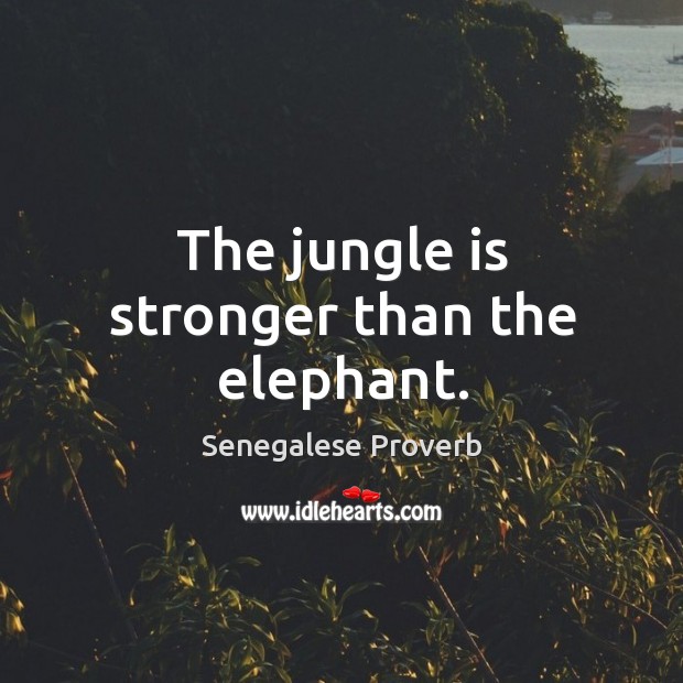 The jungle is stronger than the elephant. Senegalese Proverbs Image