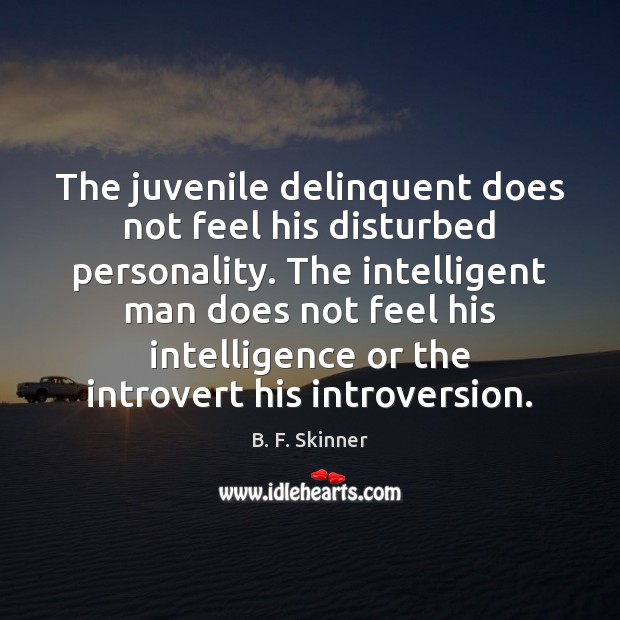The juvenile delinquent does not feel his disturbed personality. The intelligent man B. F. Skinner Picture Quote