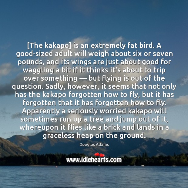 [The kakapo] is an extremely fat bird. A good-sized adult will weigh Douglas Adams Picture Quote