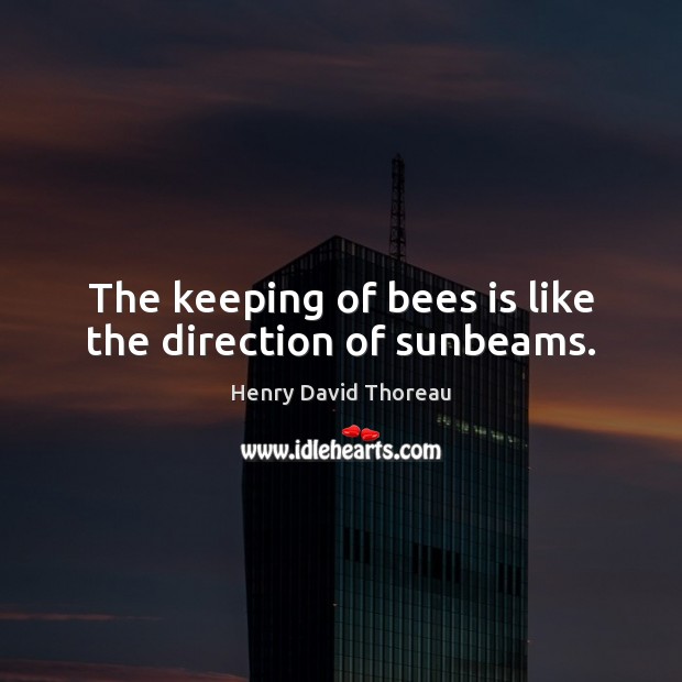 The keeping of bees is like the direction of sunbeams. Image