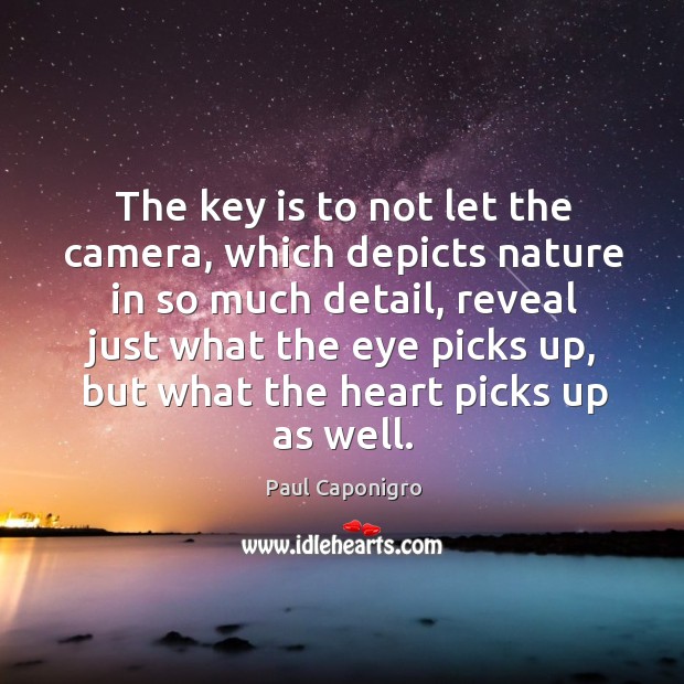 The key is to not let the camera, which depicts nature in Paul Caponigro Picture Quote