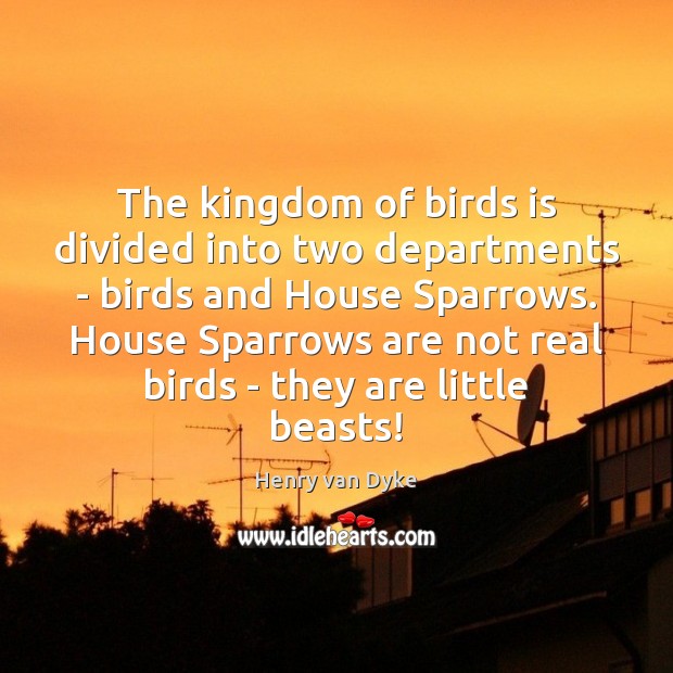 The kingdom of birds is divided into two departments – birds and Image