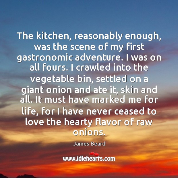 The kitchen, reasonably enough, was the scene of my first gastronomic adventure. Image