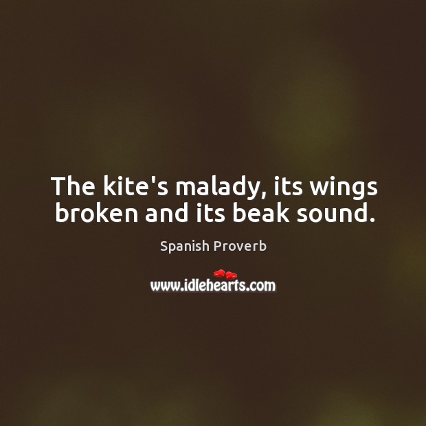 The kite’s malady, its wings broken and its beak sound. Image