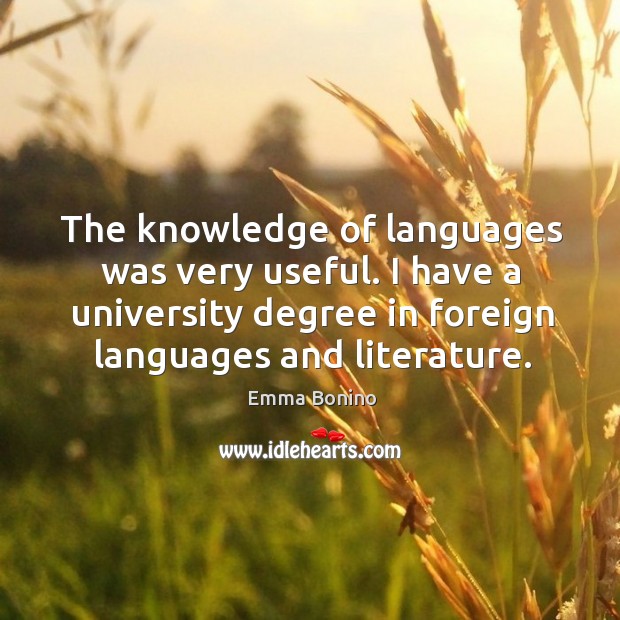 The knowledge of languages was very useful. I have a university degree in foreign languages and literature. Image