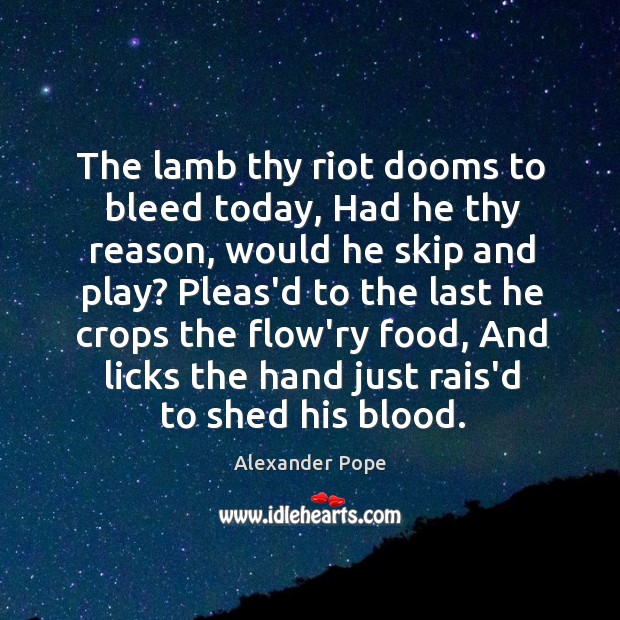 The lamb thy riot dooms to bleed today, Had he thy reason, Alexander Pope Picture Quote