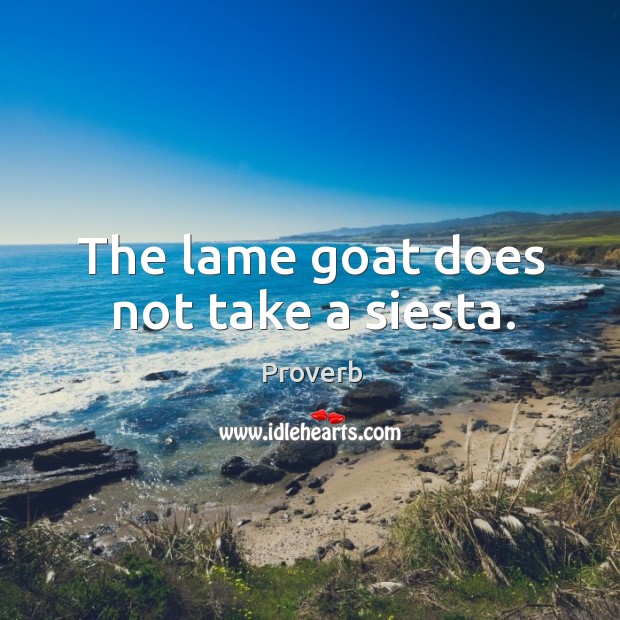 The lame goat does not take a siesta. Image