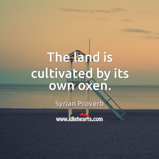 The land is cultivated by its own oxen. Syrian Proverbs Image