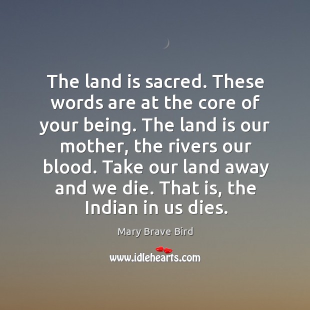 The land is sacred. These words are at the core of your Mary Brave Bird Picture Quote