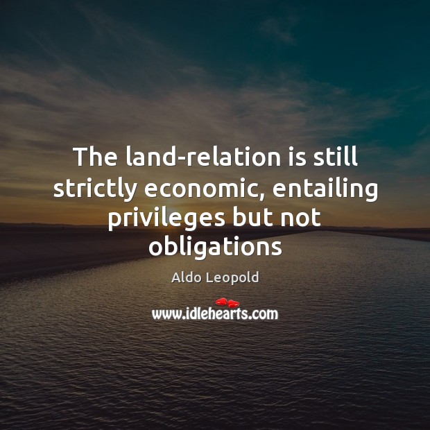 The land-relation is still strictly economic, entailing privileges but not obligations Aldo Leopold Picture Quote