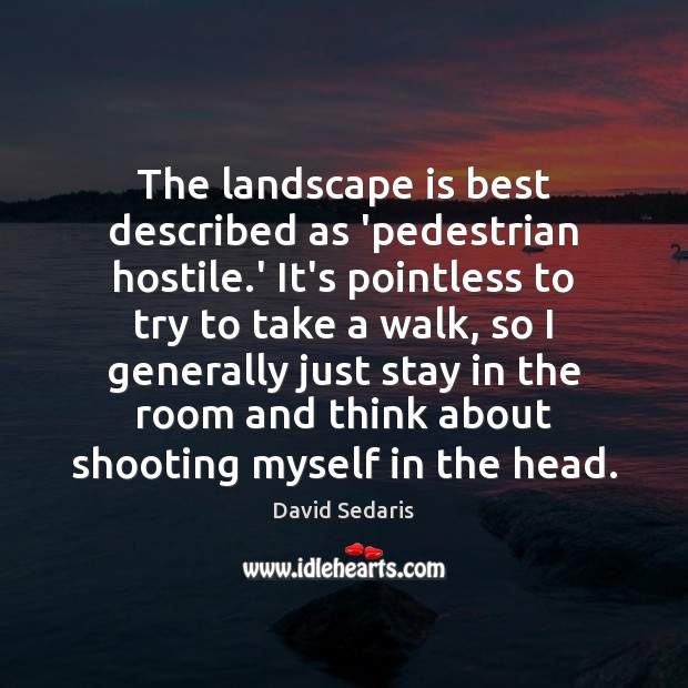 The landscape is best described as ‘pedestrian hostile.’ It’s pointless to David Sedaris Picture Quote