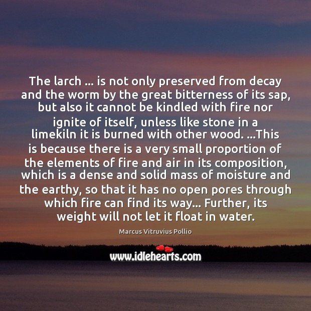 The larch … is not only preserved from decay and the worm by Marcus Vitruvius Pollio Picture Quote
