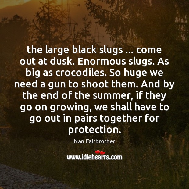 The large black slugs … come out at dusk. Enormous slugs. As big Nan Fairbrother Picture Quote