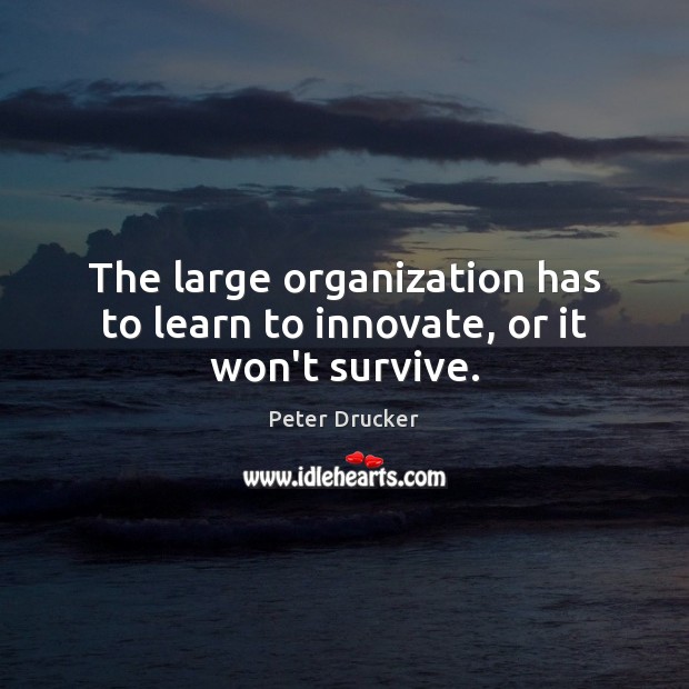 The large organization has to learn to innovate, or it won’t survive. Peter Drucker Picture Quote