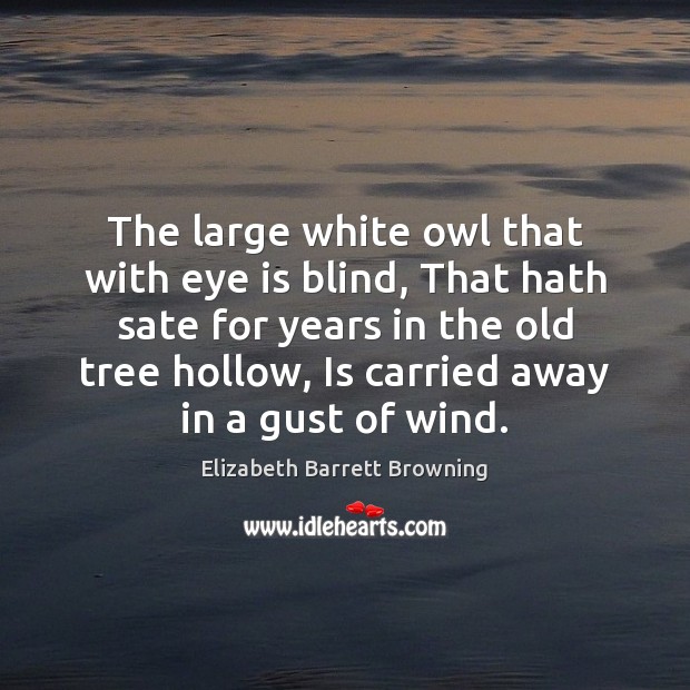 The large white owl that with eye is blind, That hath sate Elizabeth Barrett Browning Picture Quote
