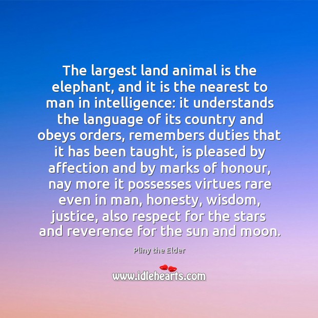The largest land animal is the elephant, and it is the nearest Pliny the Elder Picture Quote
