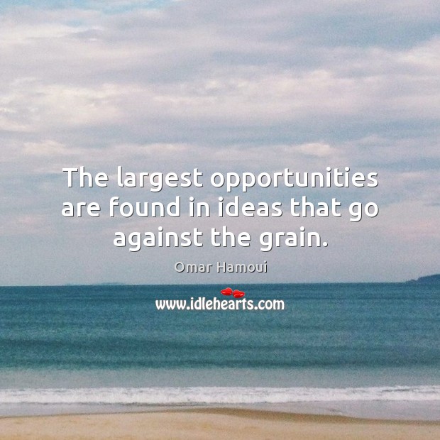 The largest opportunities are found in ideas that go against the grain. Omar Hamoui Picture Quote