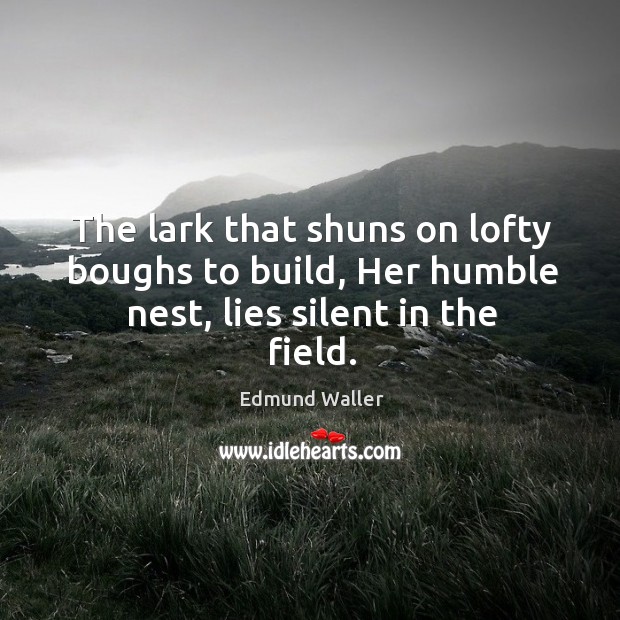 The lark that shuns on lofty boughs to build, her humble nest, lies silent in the field. Edmund Waller Picture Quote