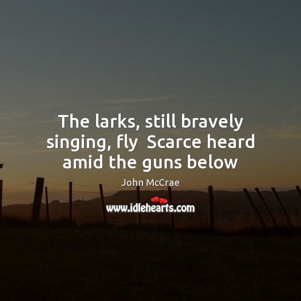 The larks, still bravely singing, fly  Scarce heard amid the guns below John McCrae Picture Quote